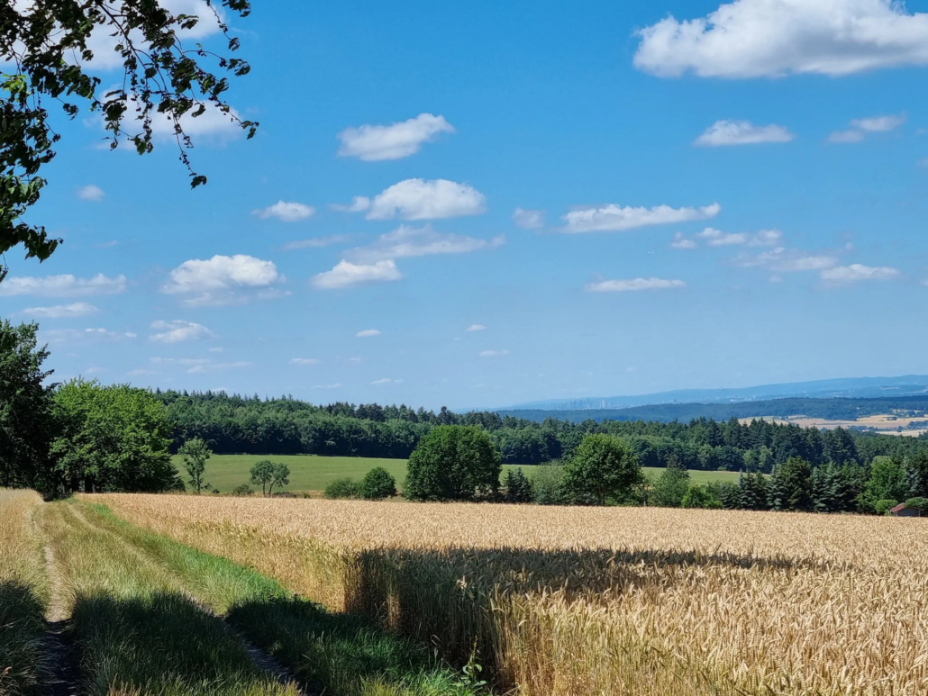 Wanderung Krötenweiher